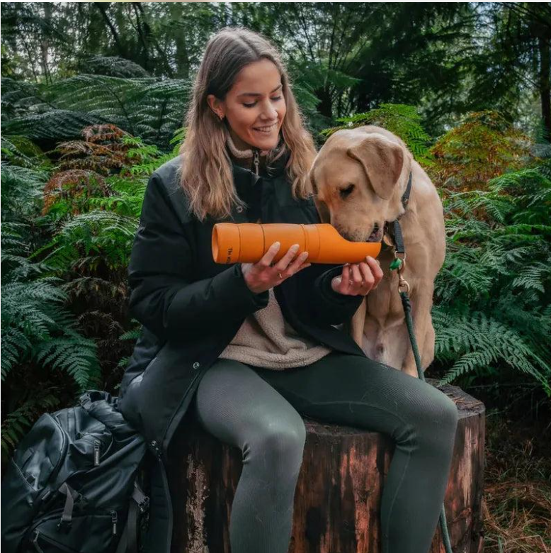 Water bottle for dogs