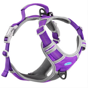 Harness for dog