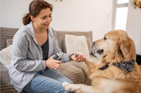Rechargeable Lighted Dog Nail Grinder