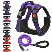 Harness for dog